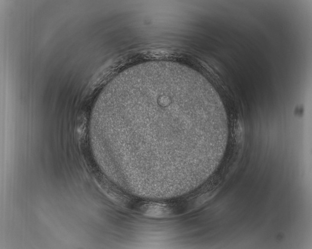 X0000114160507200911051508