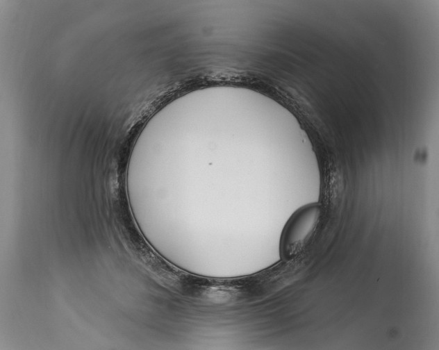 X0000114160508200911051508