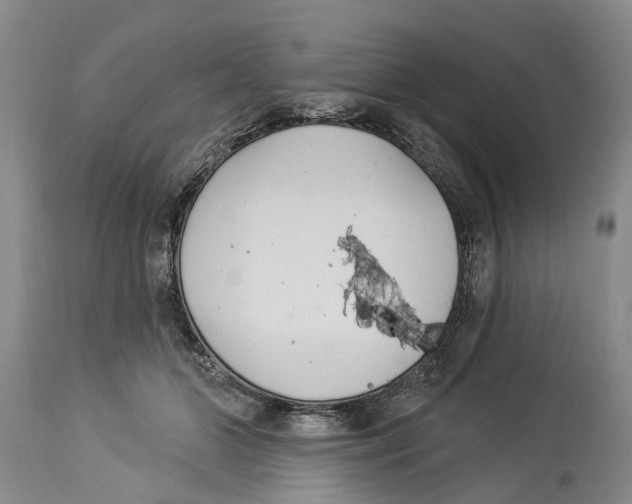 X0000114160510200911051508