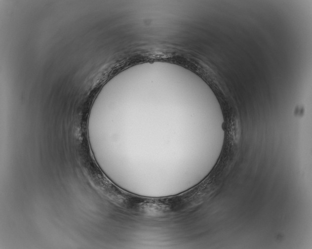 X0000114160512200911051508