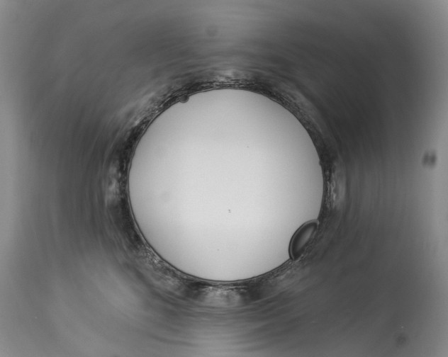 X0000114160520200911051508