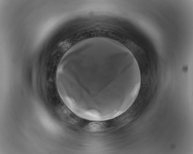 X0000114160526200911051508