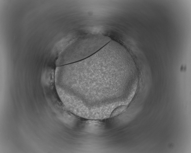 X0000114160528200911051508