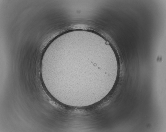 X0000114160529200911051507