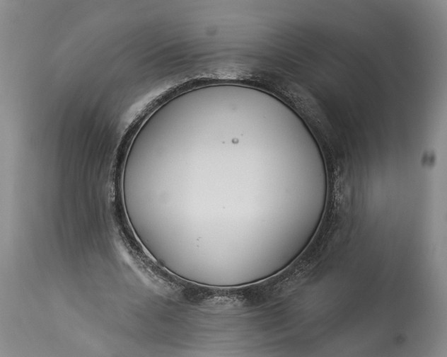 X0000114160536200911051507