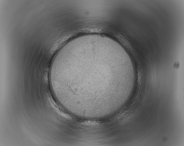 X0000114160537200911051507