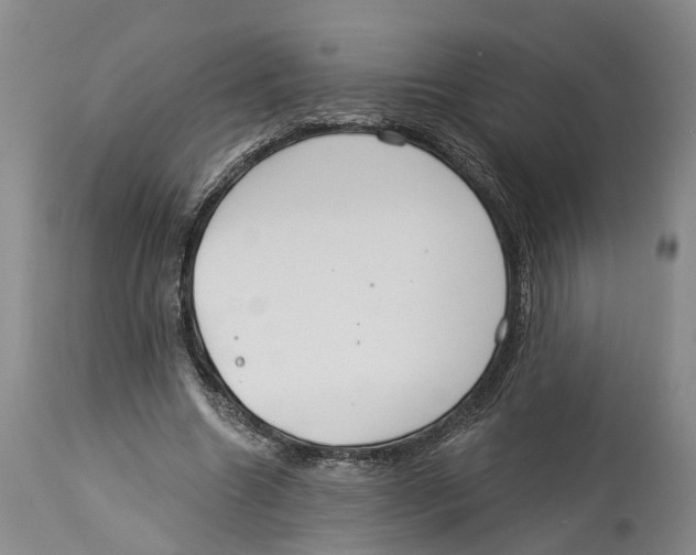 X0000114160538200911051507