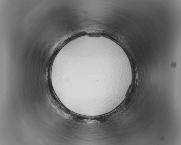 X0000114160539200911051507