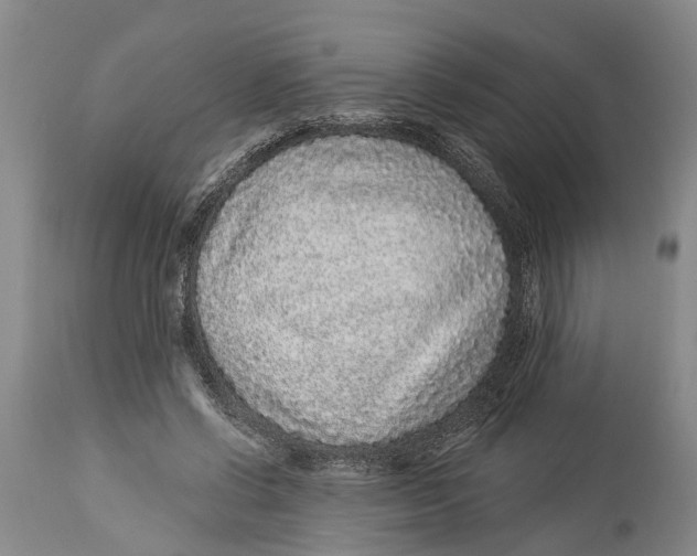 X0000114160542200911051507