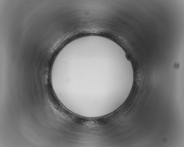 X0000114160544200911051507