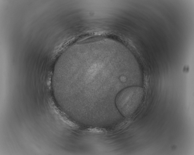 X0000114160545200911051507