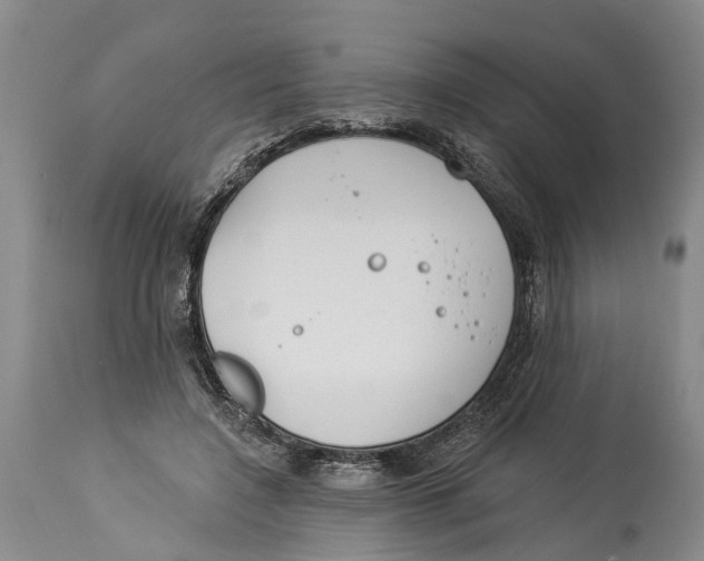 X0000114160548200911051507