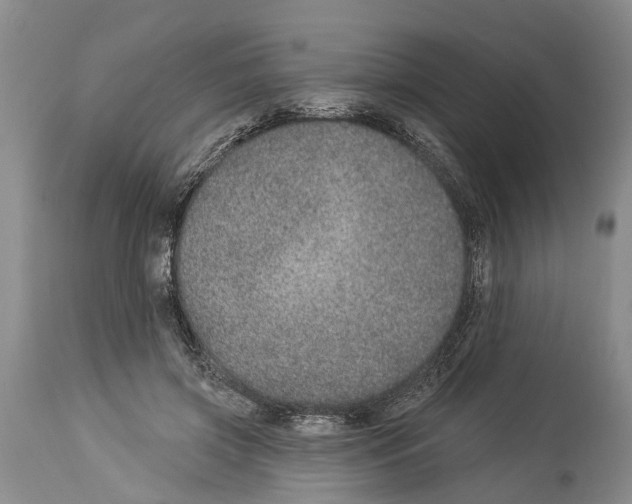 X0000114160549200911051507