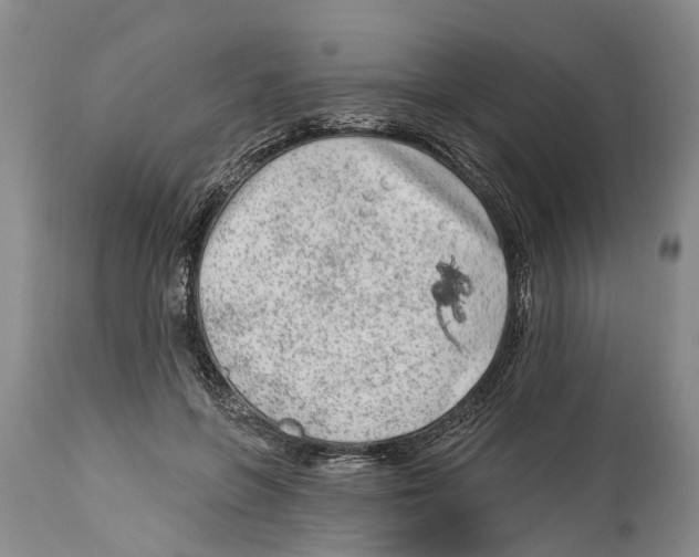 X0000114160551200911051507