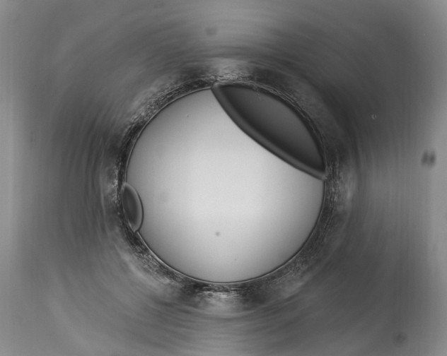 X0000114160552200911051507