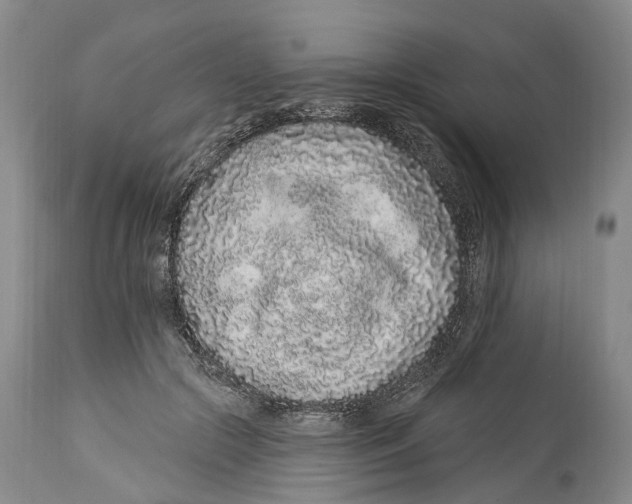 X0000114160553200911051507