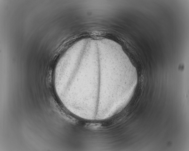 X0000114160554200911051507