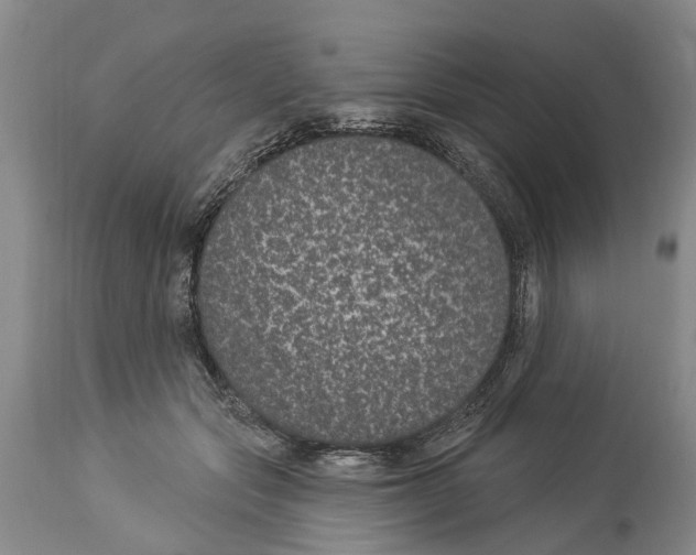 X0000114160557200911051507