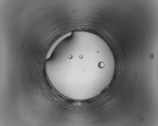 X0000114160558200911051507