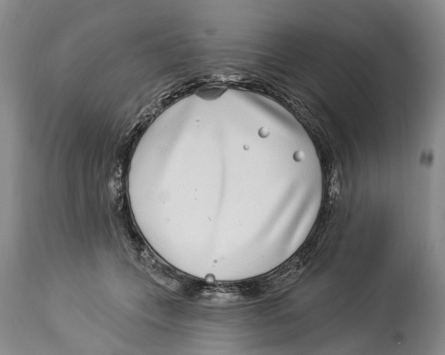 X0000114160559200911051507