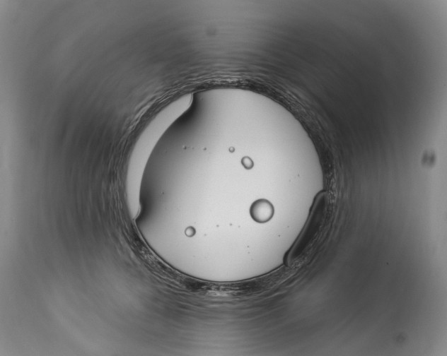 X0000114160560200911051508