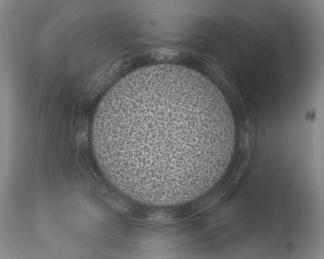 X0000114160561200911051508