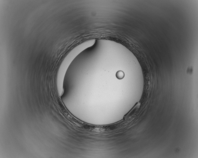 X0000114160562200911051508