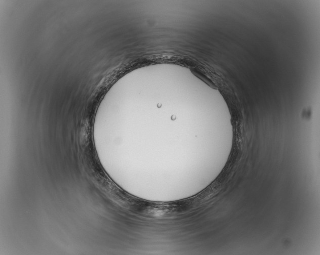 X0000114160563200911051508