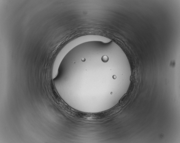 X0000114160564200911051508