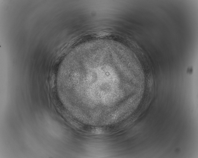 X0000114160565200911051508