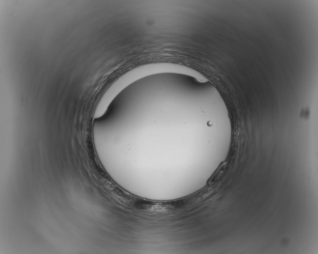 X0000114160566200911051508