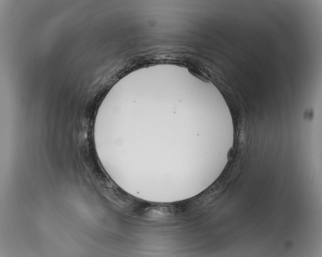 X0000114160567200911051508