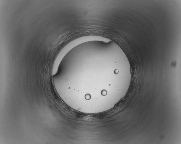 X0000114160568200911051508