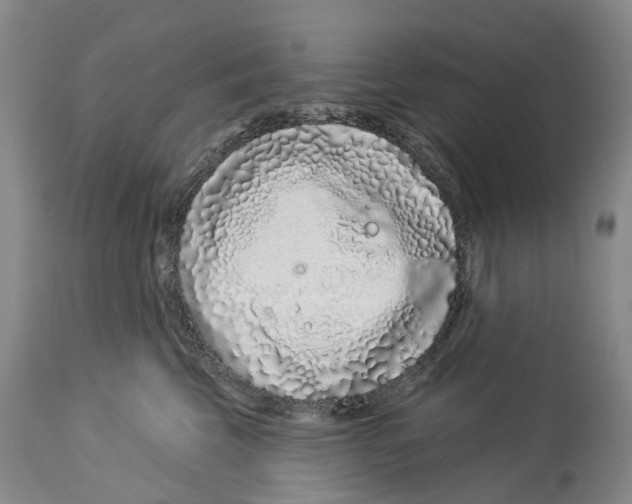 X0000114160569200911051508