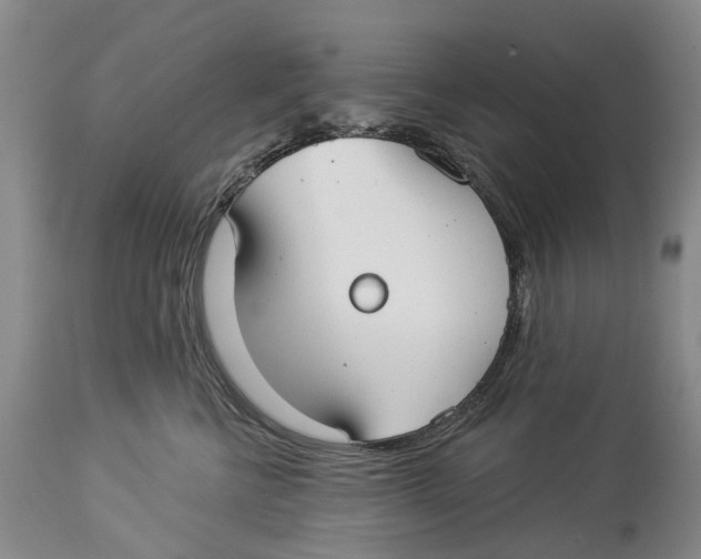 X0000114160570200911051508