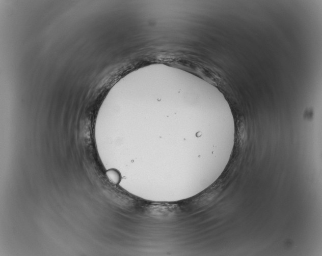 X0000114160571200911051508