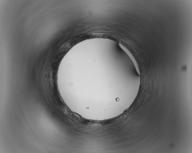 X0000114160572200911051508