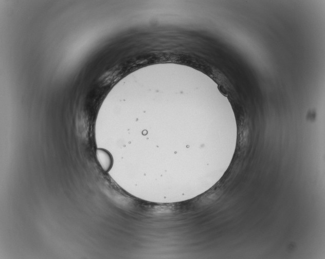 X0000114160574200911051508