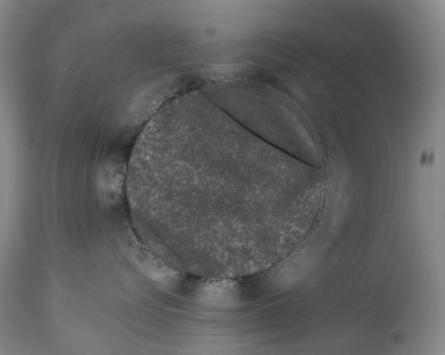 X0000114160576200911051508