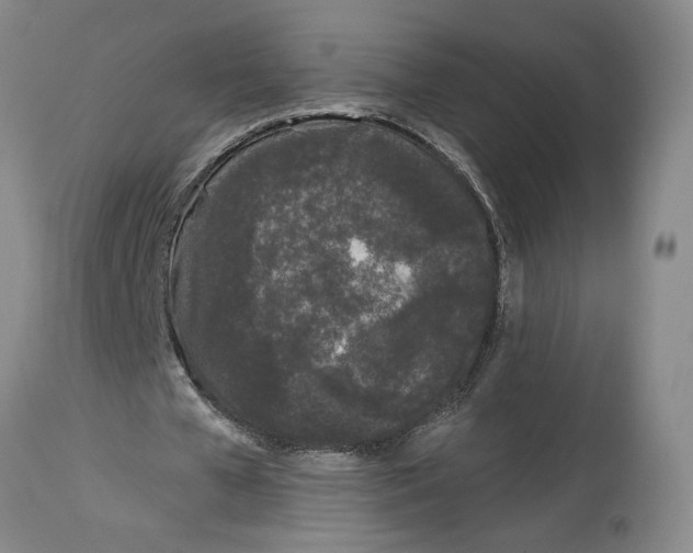 X0000114160577200911051507