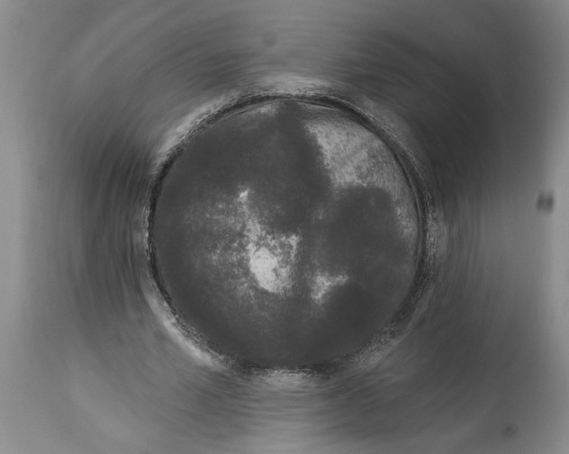 X0000114160581200911051507