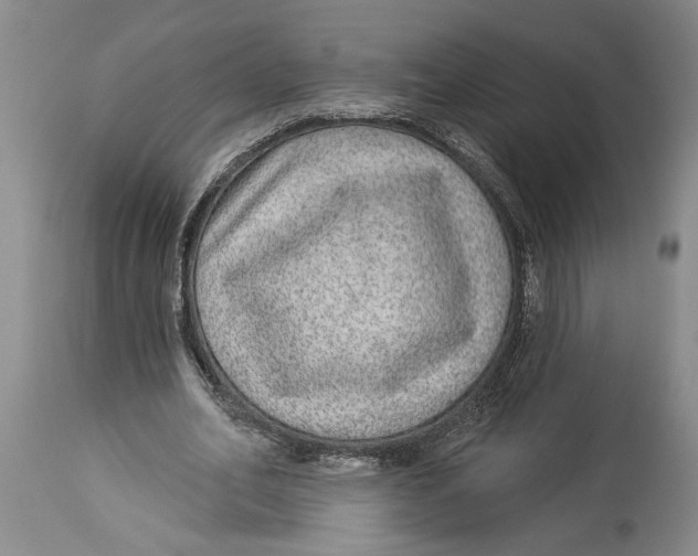 X0000114160582200911051507