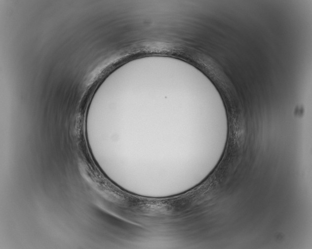 X0000114160583200911051507