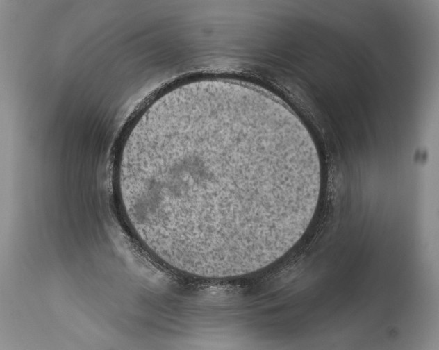 X0000114160584200911051507