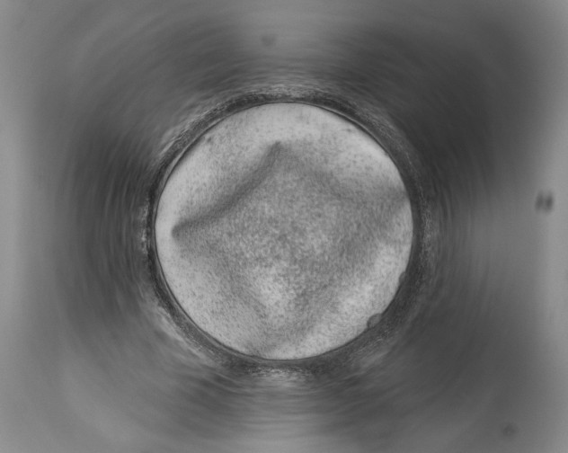 X0000114160585200911051507