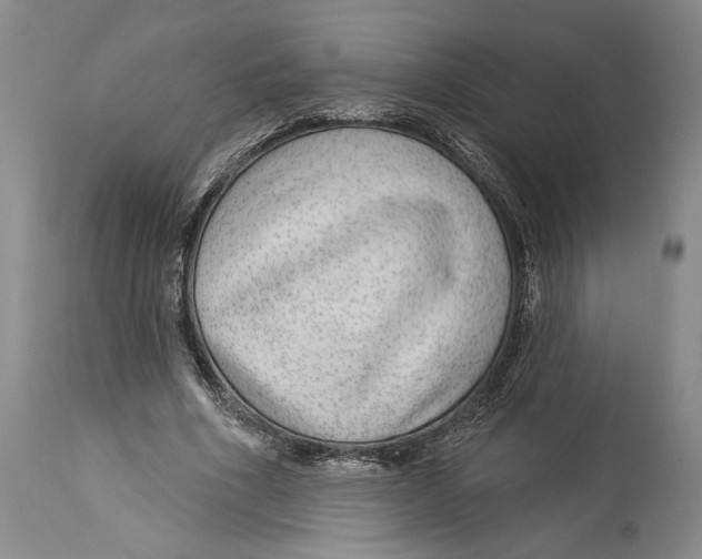 X0000114160586200911051507