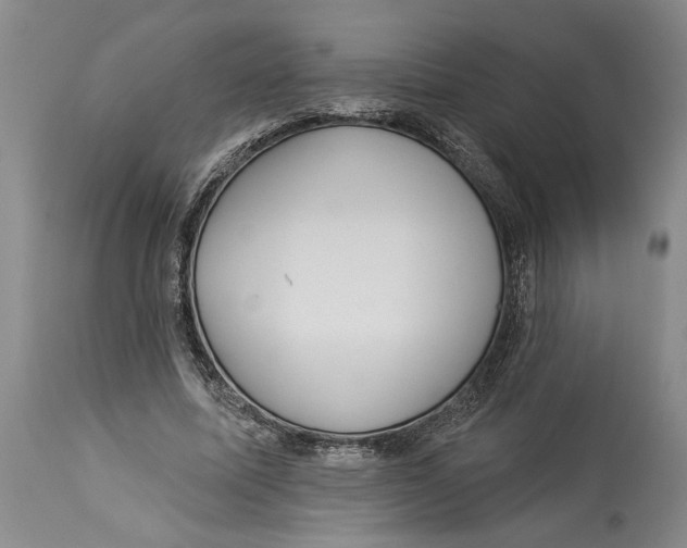 X0000114160587200911051507