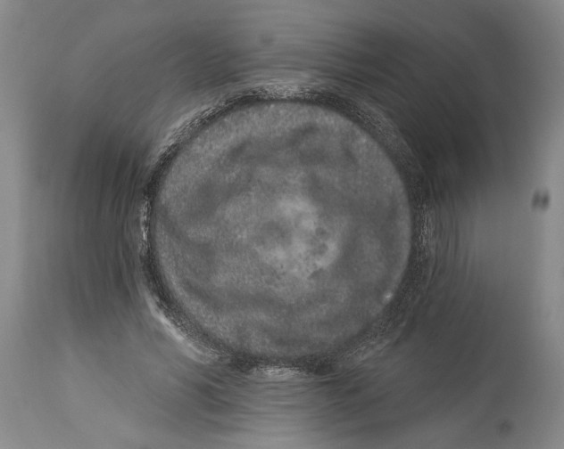 X0000114160590200911051507