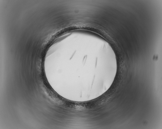 X0000114160592200911051507