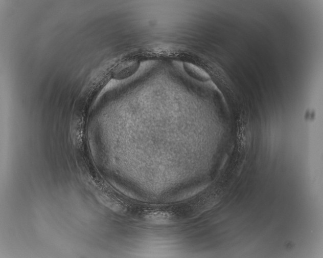 X0000114160593200911051507